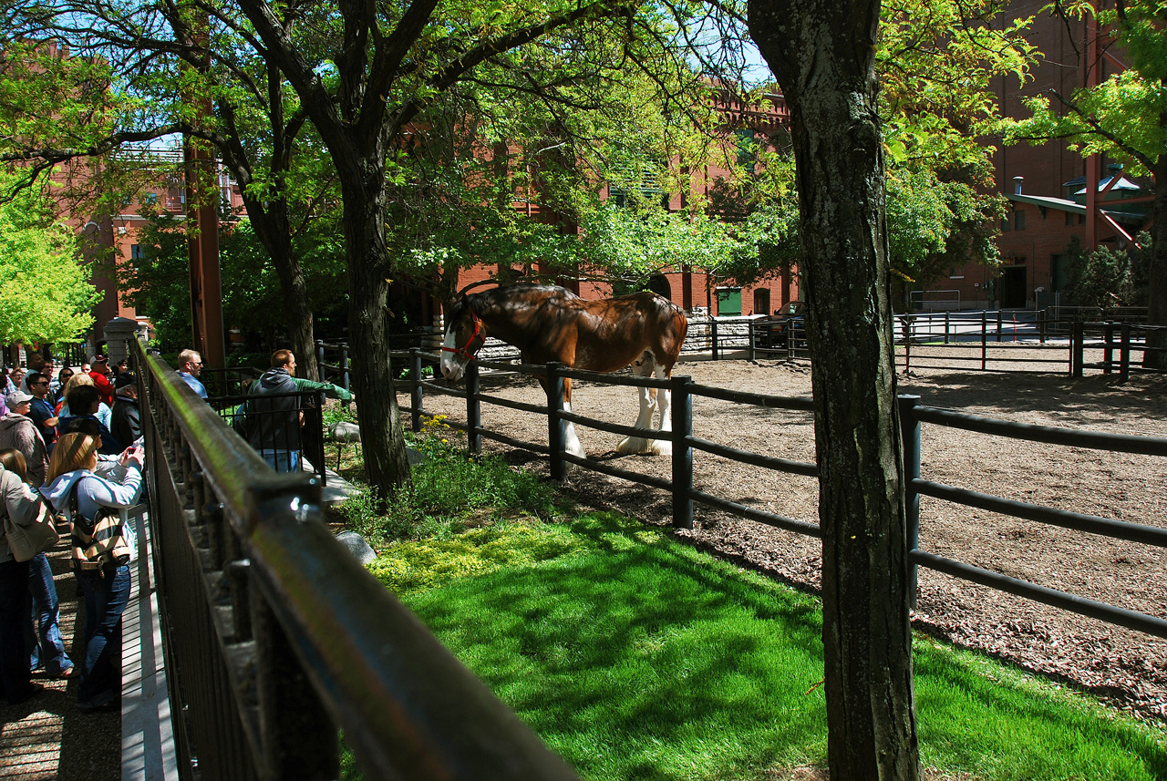 2012-04-11, 007, Budweiser Tour, St Louis, MO