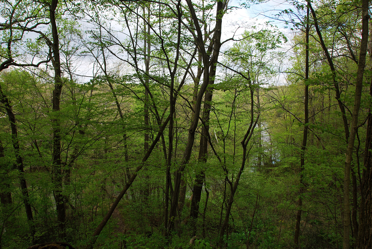 2012-04-16, 004, Mounds St Pk