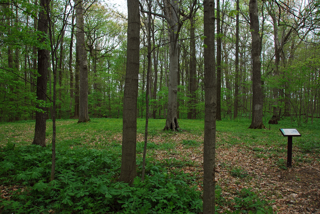 2012-04-16, 011, Earthwork D