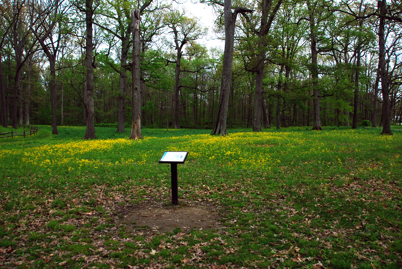 2012-04-16, 023, Earthwork B