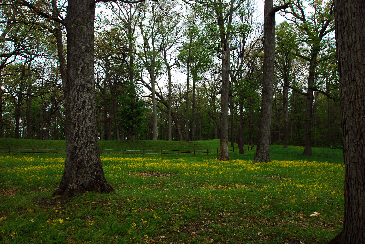 2012-04-16, 025, Earthwork B