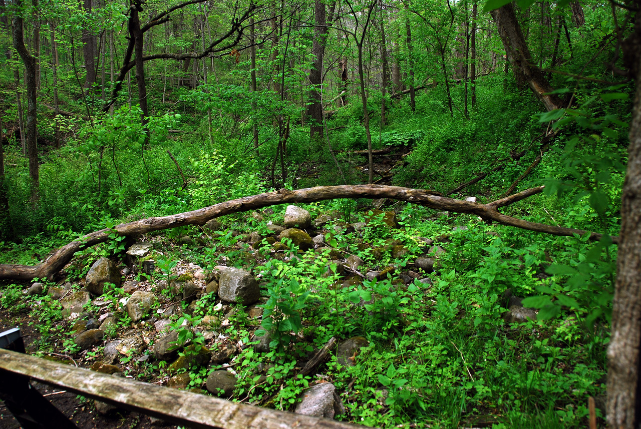 2012-04-16, 037, Bronnenberg Spring House