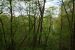 2012-04-16, 004, Mounds St Pk