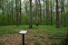 2012-04-16, 010, Earthwork D