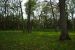 2012-04-16, 024, Earthwork B