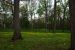 2012-04-16, 025, Earthwork B