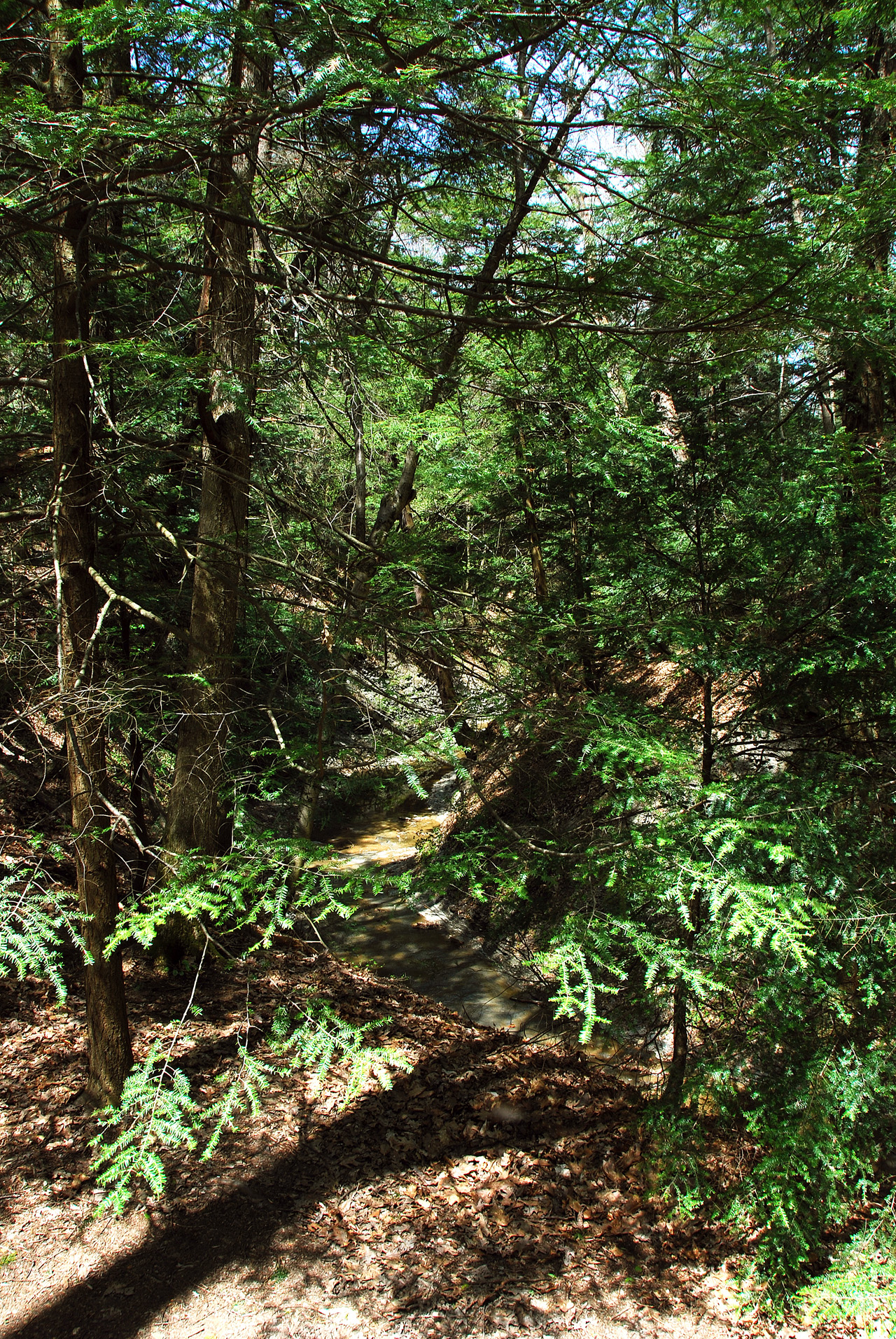2012-04-25, 015, Bridal Veil Falls