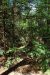 2012-04-25, 015, Bridal Veil Falls