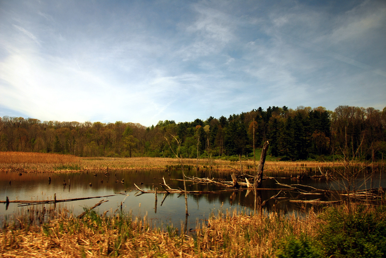 2012-04-29, 018, Cuyahoga Valley Scenic RR