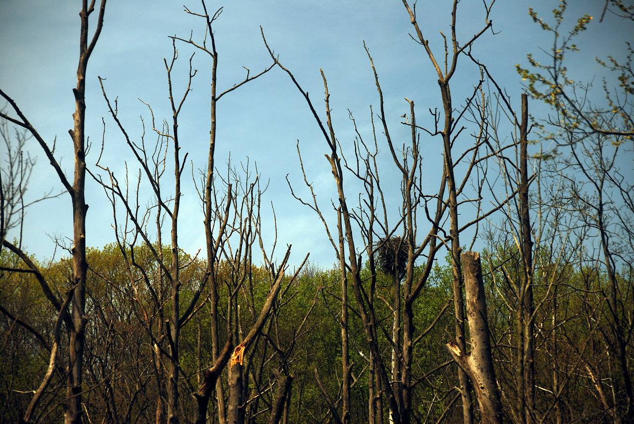 2012-04-29, 019, Cuyahoga Valley Scenic RR