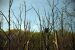 2012-04-29, 019, Cuyahoga Valley Scenic RR
