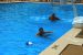 2012-05-31, 025, Pool Basketball