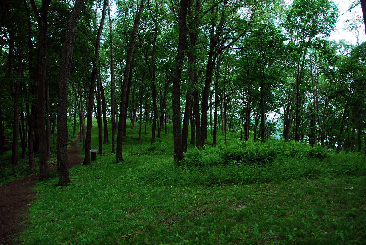 2012-06-13, 017, Mounds