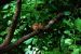 2012-06-13, 007, Effitgy Mounds NM