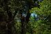2012-06-12, 010, Eagle Nest