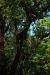 2012-06-12, 011, Eagle Nest