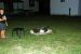 2012-06-15, 005, Mark Twain Landing, MO