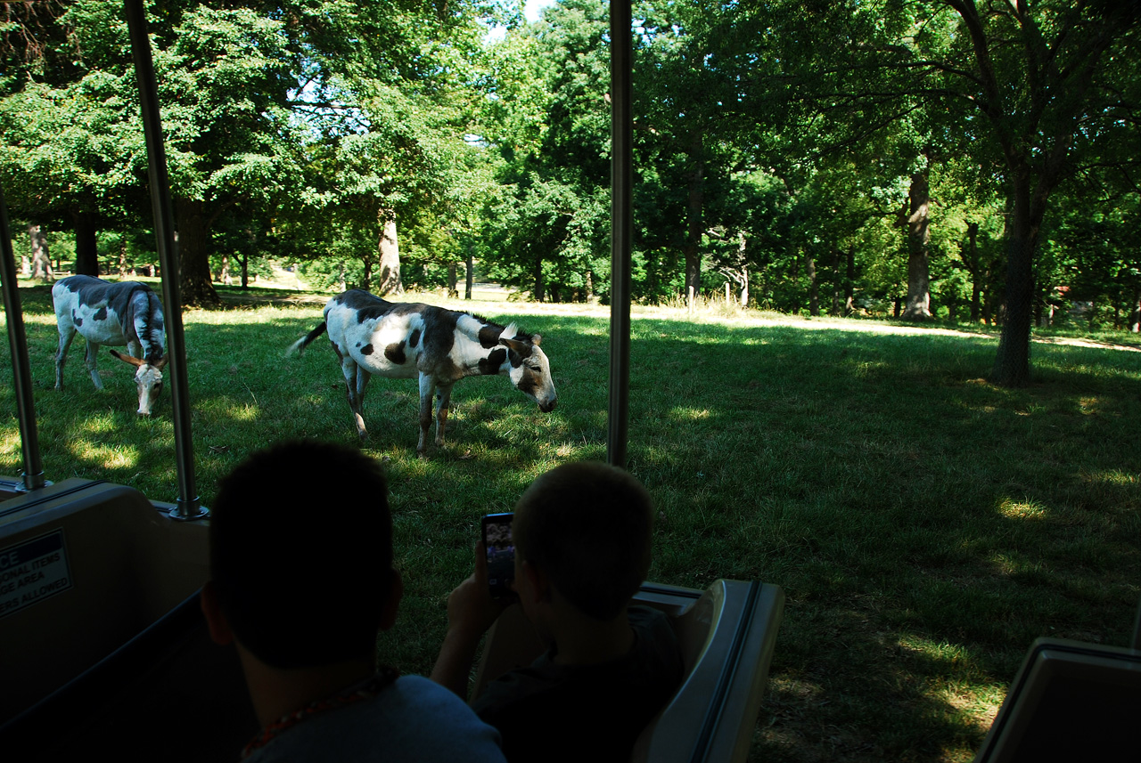 2012-06-28, 005, Grant's Farm, MO