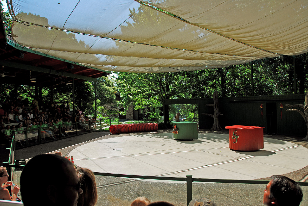 2012-06-28, 020, Bird Show, MO