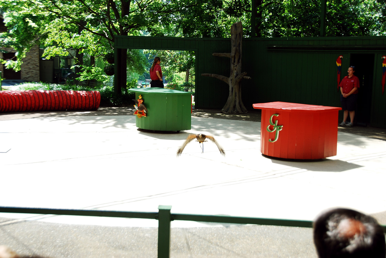 2012-06-28, 027, Bird Show, MO