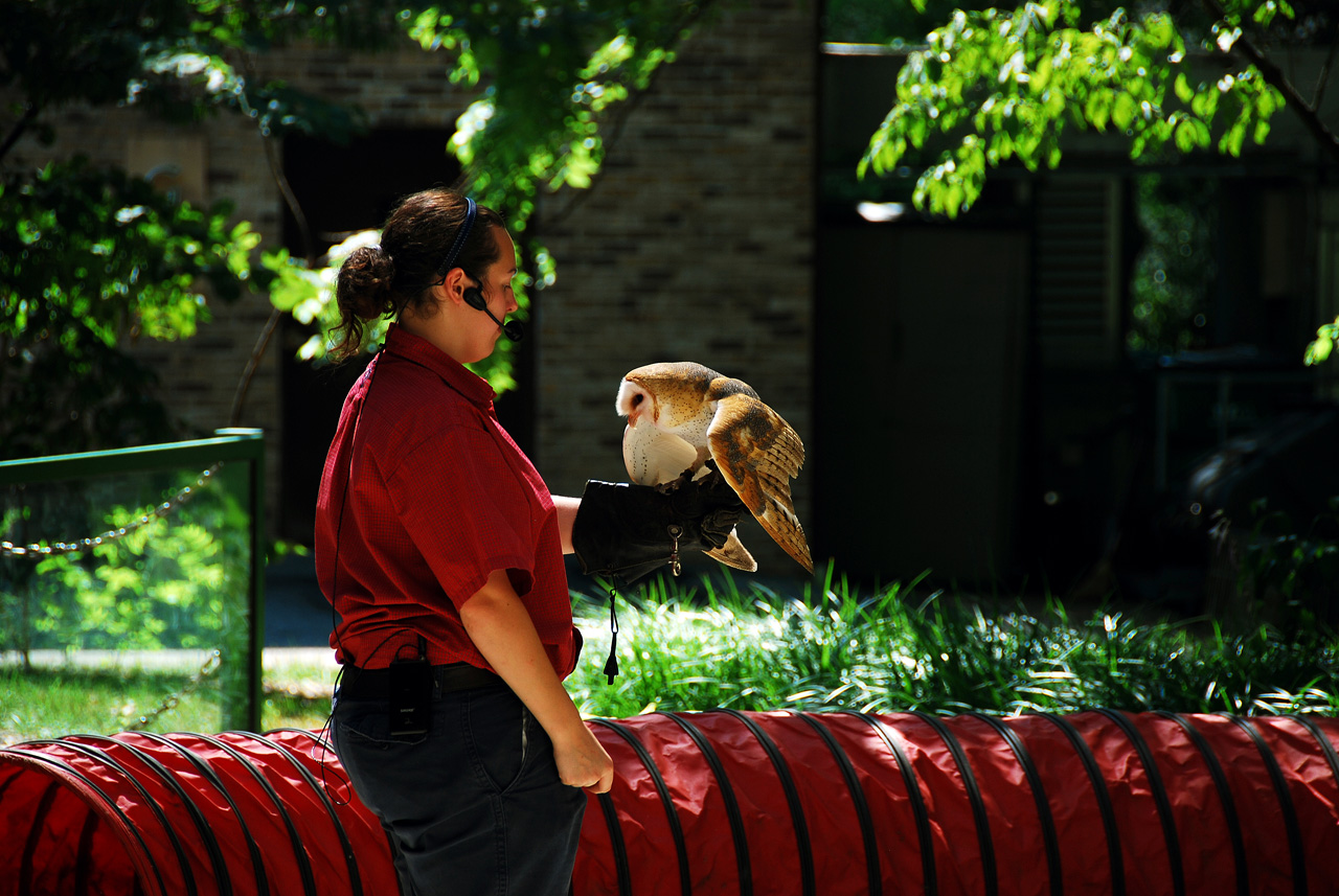2012-06-28, 031, Bird Show, MO