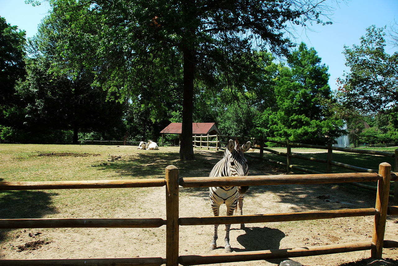 2012-06-28, 046, Grant's Farm, MO