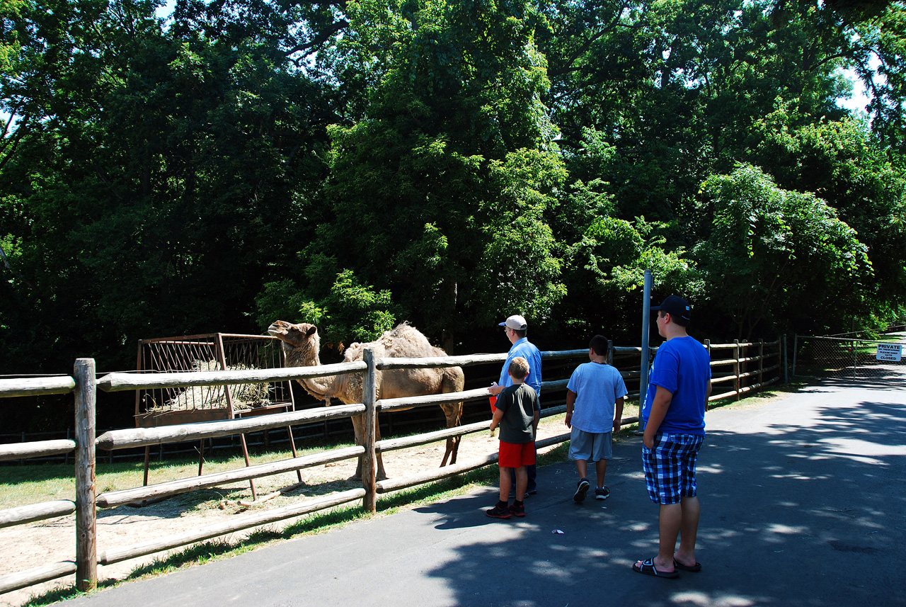 2012-06-28, 047, Grant's Farm, MO
