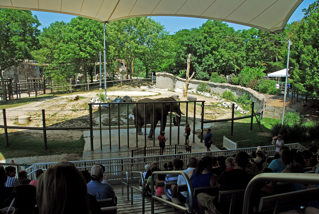 2012-06-28, 048, Elephant Show, MO