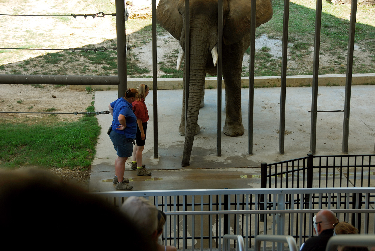 2012-06-28, 054, Pickup a Dime, MO
