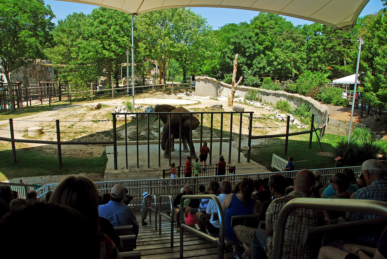 2012-06-28, 060, Elephant Show, MO