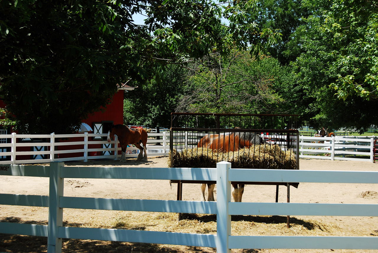 2012-06-28, 075, Clydesdales, MO