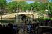 2012-06-28, 060, Elephant Show, MO