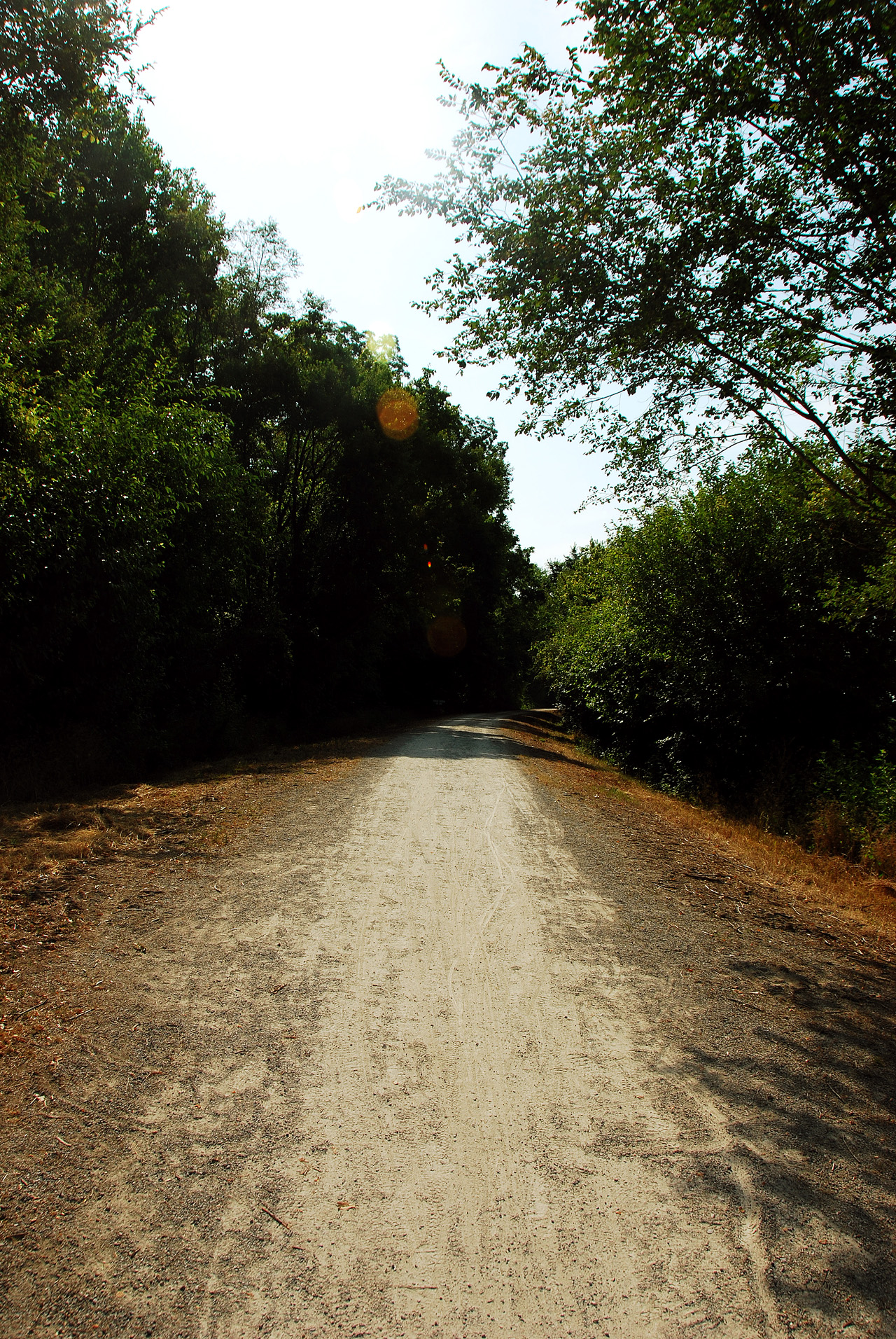 2012-07-06, 008, Kity Trail, MO