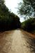 2012-07-06, 008, Kity Trail, MO