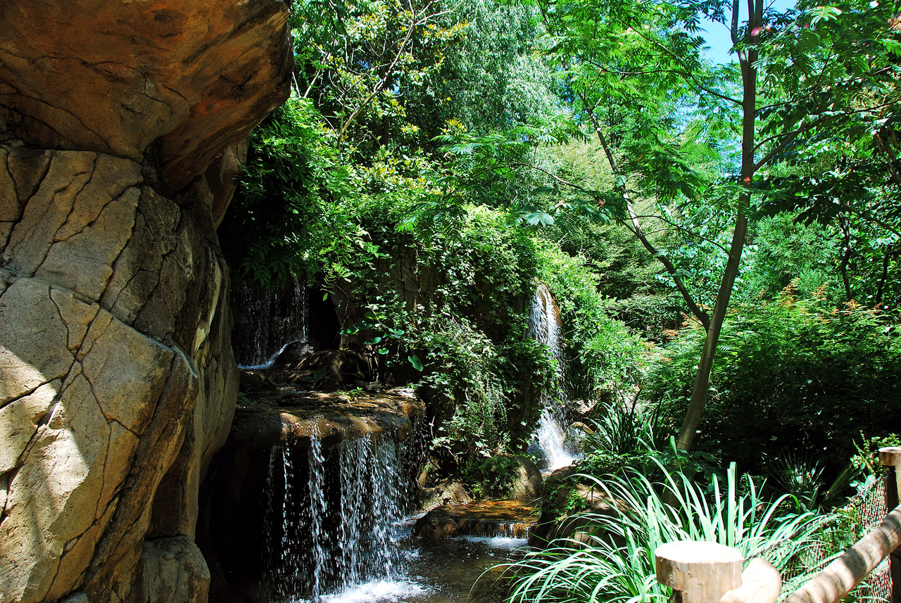 2012-06-22, 006, St. Louis Zoo