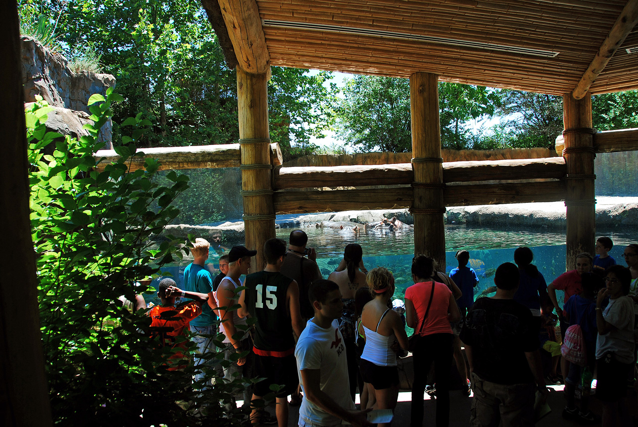 2012-06-22, 010, St. Louis Zoo