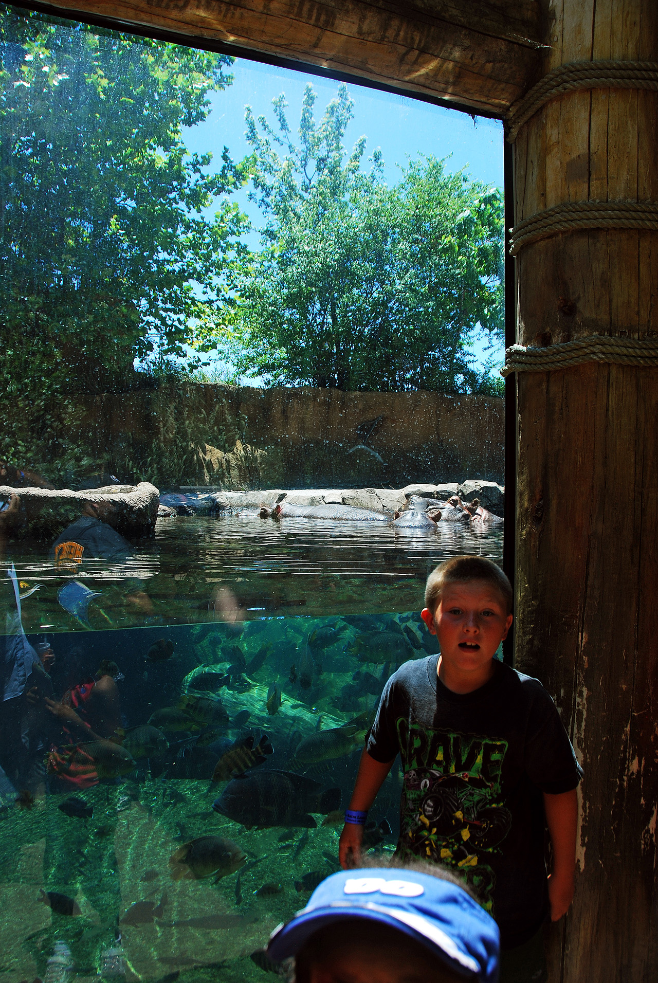 2012-06-22, 012, St. Louis Zoo
