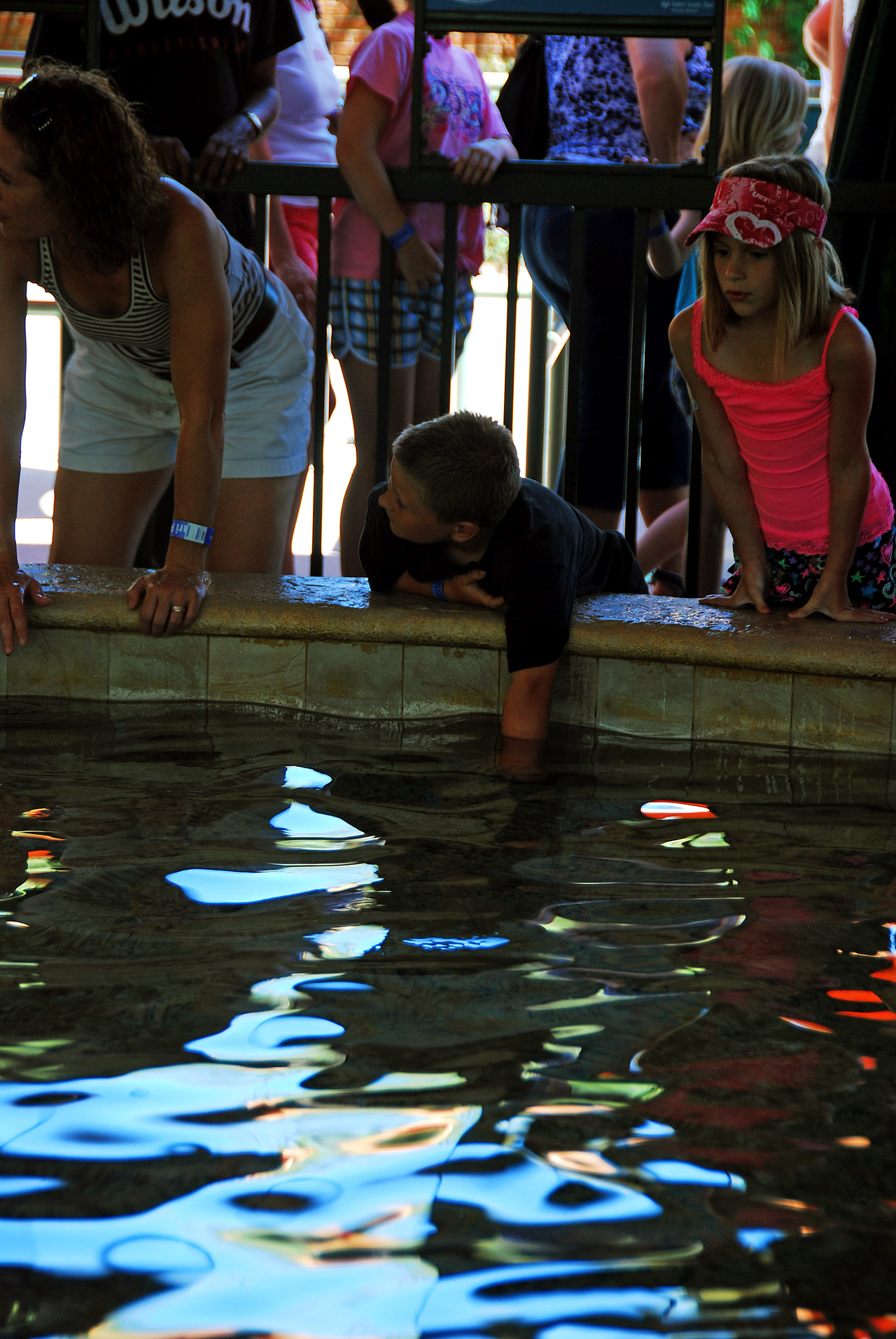 2012-06-22, 025, St. Louis Zoo