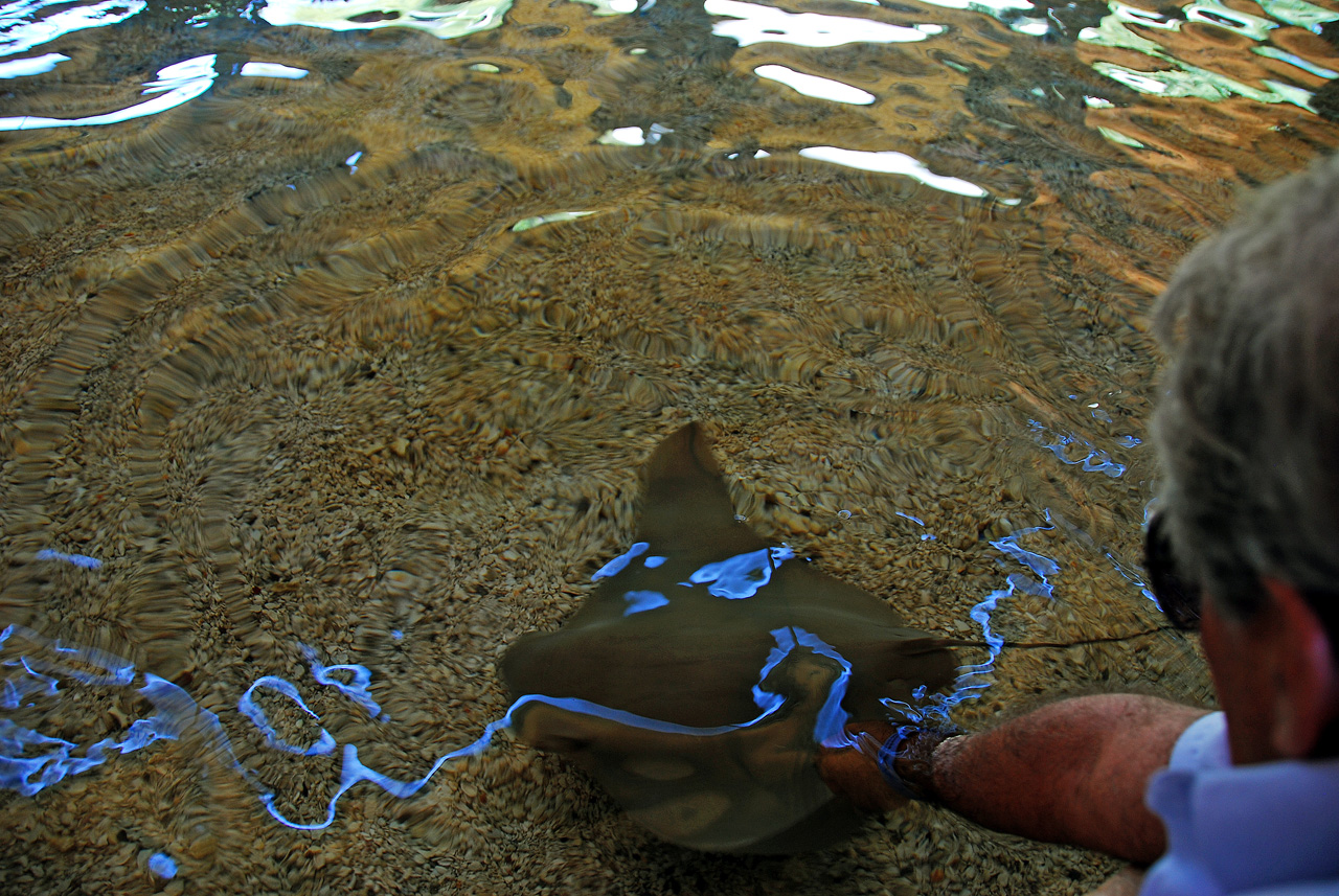 2012-06-22, 028, St. Louis Zoo