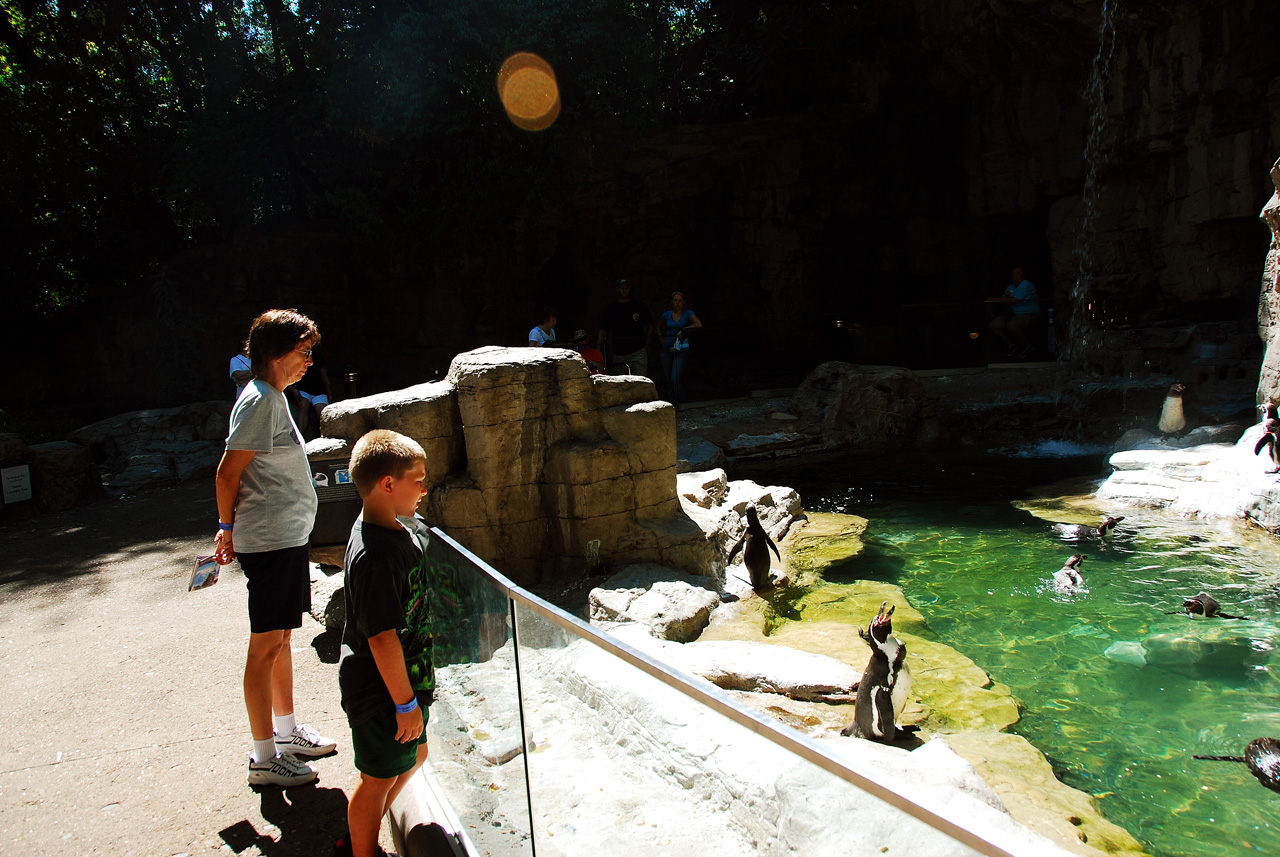 2012-06-22, 053, St. Louis Zoo