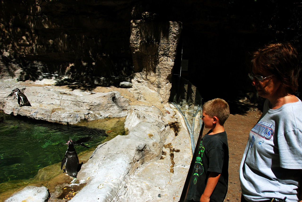 2012-06-22, 054, St. Louis Zoo