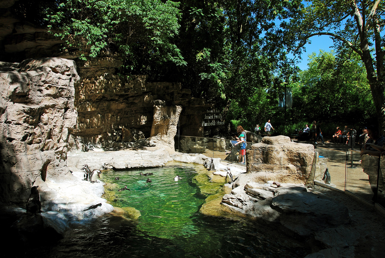 2012-06-22, 056, St. Louis Zoo