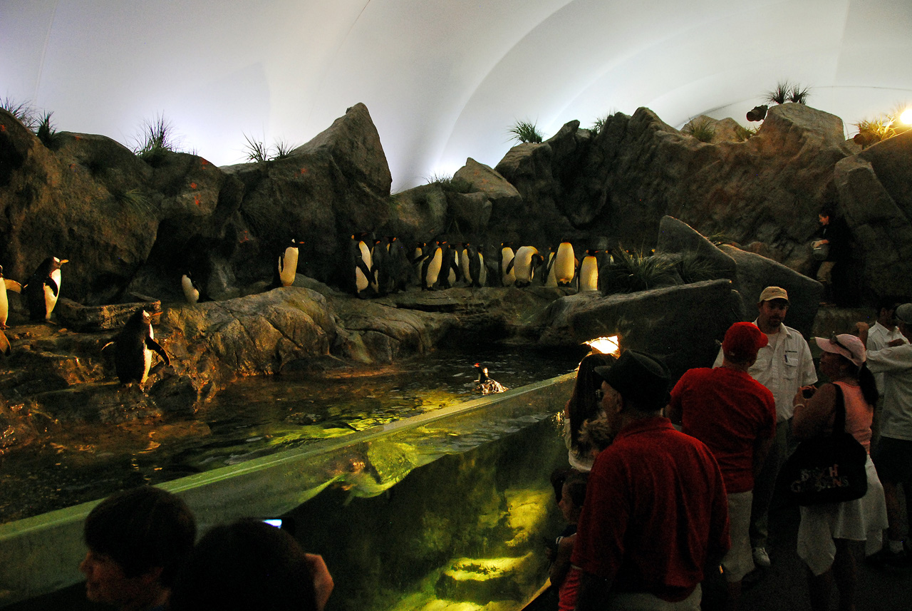 2012-06-22, 057, St. Louis Zoo
