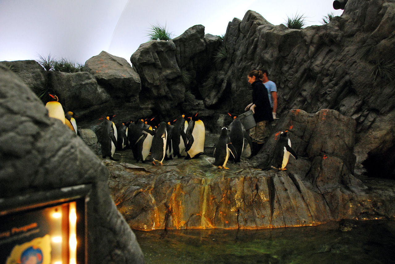 2012-06-22, 060, St. Louis Zoo
