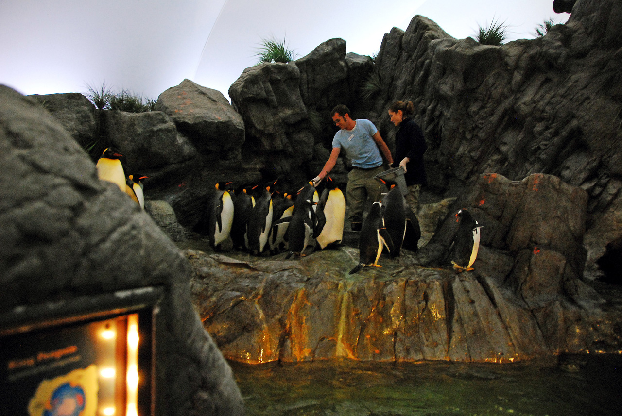2012-06-22, 061, St. Louis Zoo