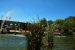 2012-06-22, 004, St. Louis Zoo