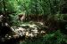 2012-06-22, 007, St. Louis Zoo