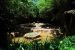 2012-06-22, 008, St. Louis Zoo