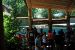 2012-06-22, 010, St. Louis Zoo