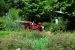 2012-06-22, 014, St. Louis Zoo